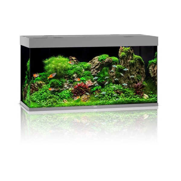 JUWEL Rio 350 LED grau