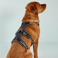 Wolters Geschirr Active Pro No Escape