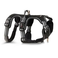 Wolters Geschirr Active Pro No Escape 70-85 cm x 2,5 cm