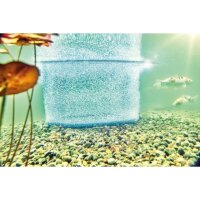 Oase AquaOxy Belüfterring 60 cm