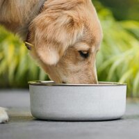 BeOneBreed Concrete Bowl M