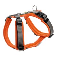 Hunter Geschirr Maldon limette/grau S-M