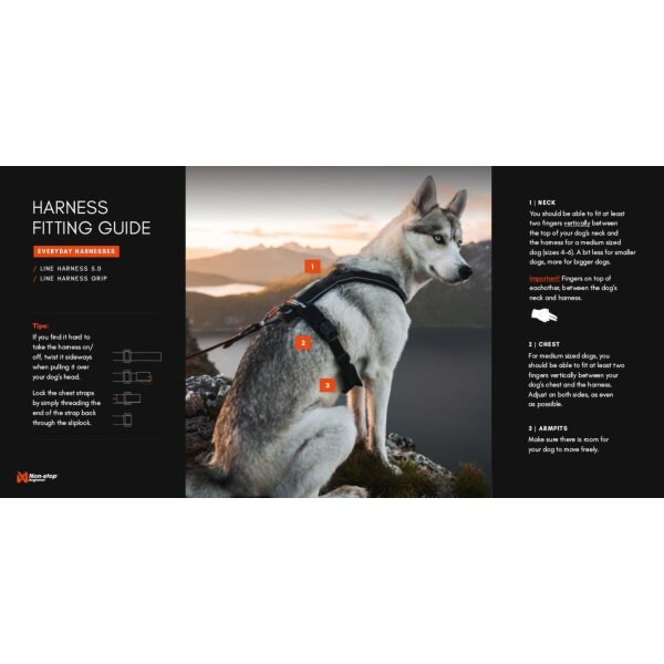 Non-stop Line Harness 5.0 grün 4