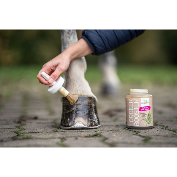 Bense & Eicke LorbeerBooster 450 ml