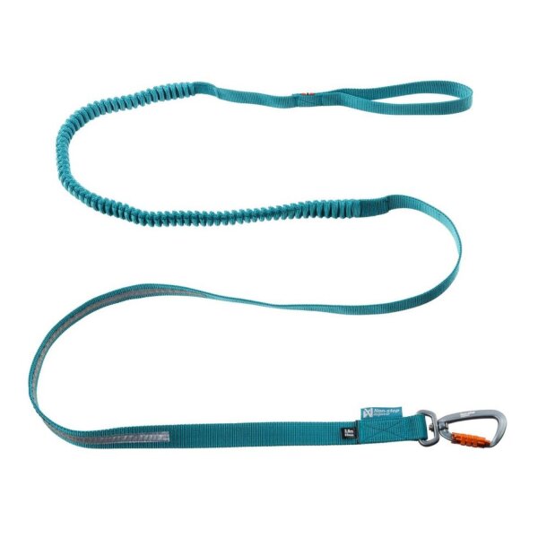 non-stop Bungee Touring Leine teal