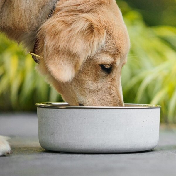 BeOneBreed Concrete Bowl