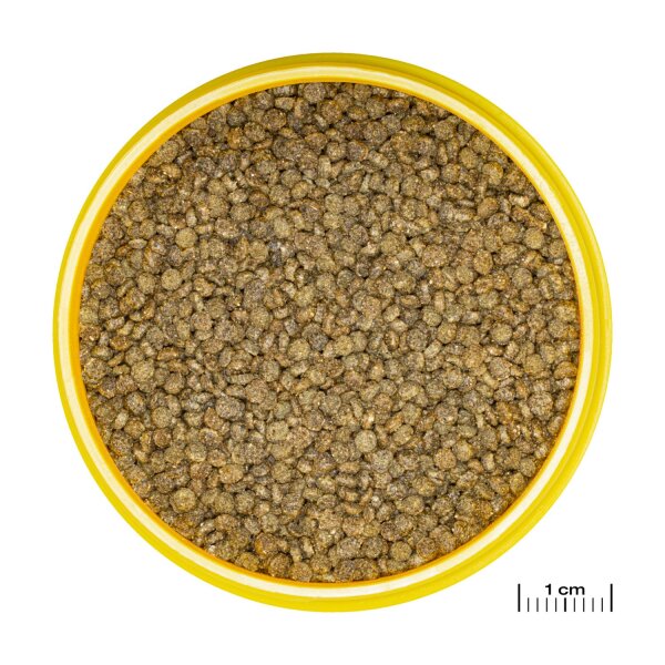 JBL ProNovo Gourami Grano S 250 ml