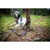 Non-stop Touring Bungee Leine Adjustable 23 mm