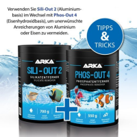 ARKA Sili-Out 2