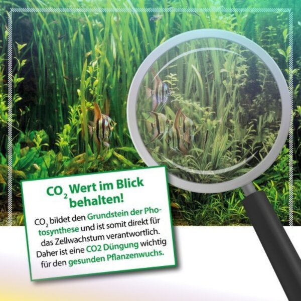 ARKA Bio-CO²
