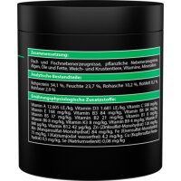 ARKA Vita Pleco Welsfutter
