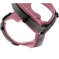 Hunter Geschirr Maldon Up altrosa/grau M-L