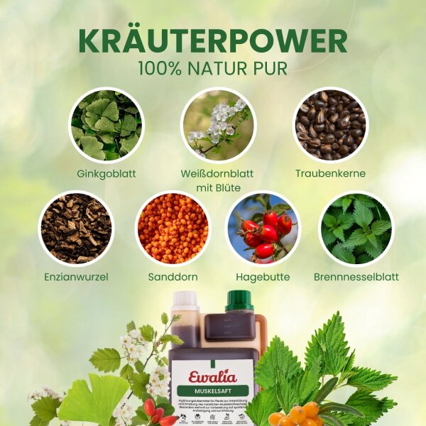 Ewalia Muskelsaft für Pferde
