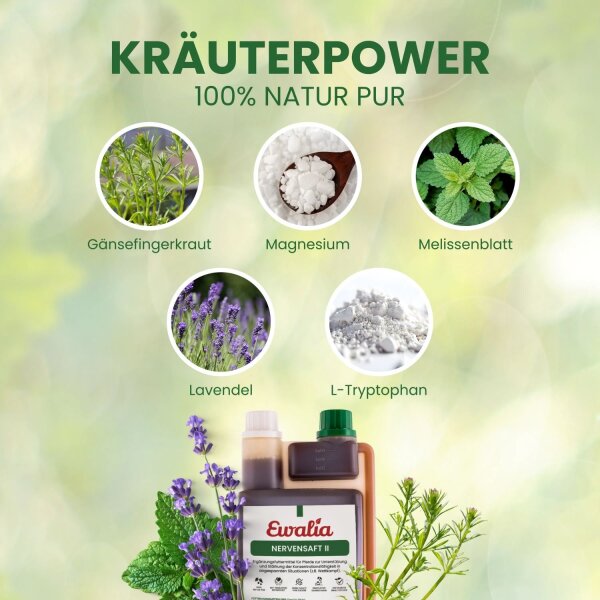 Ewalia Nervensaft II für Pferde