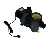 BWT Filterpumpe AquaPlus 11