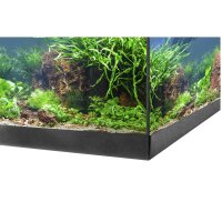 EHEIM aquastar 54 LED