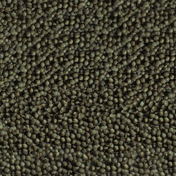 sera Goldfish Color Granules