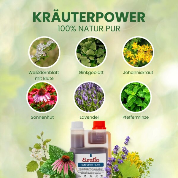 Ewalia Senior Fit-Saft für Hunde