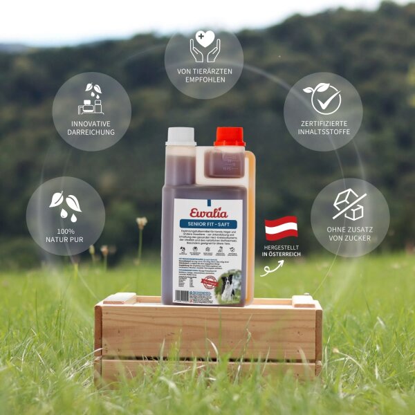 Ewalia Senior Fit-Saft für Hunde