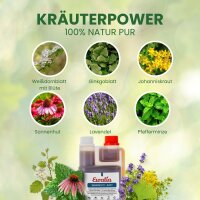 Ewalia Senior Fit-Saft für Hunde