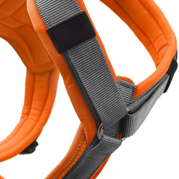 Hunter Geschirr Maldon Up orange/grau XS-S