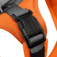 Hunter Geschirr Maldon Up orange/grau XS-S