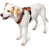 Hunter Geschirr Maldon Up orange/grau XS-S