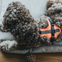 Hunter Geschirr Maldon Up orange/grau XS-S