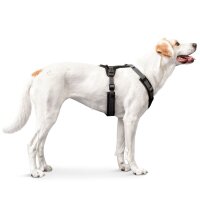 Hunter Geschirr Maldon Up schwarz/grau M-L