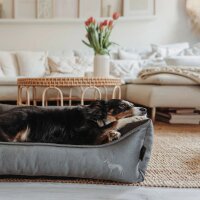 Hunter Orthopädisches Hundesofa Merida anthrazit 90 x 70 cm