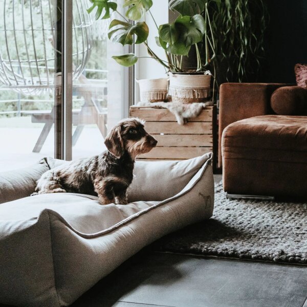 Hunter Orthopädisches Hundesofa Merida taupe 70 x 50 cm