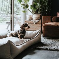Hunter Orthopädisches Hundesofa Merida taupe 70 x 50 cm