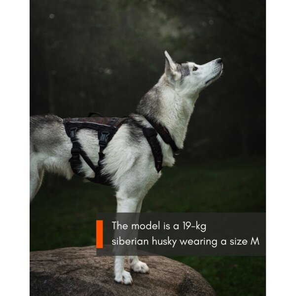 Non-stop Rock Harness Long XL