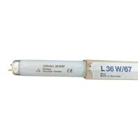 OSRAM Lumilux Blue T8