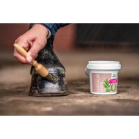 Bense & Eicke Hufsalbe grün 500 ml