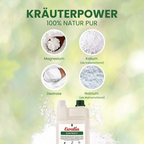 Ewalia Elektrolyt für Pferde 1 l