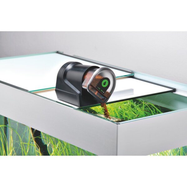 EDEN MAG 4 x 3 Fischfutterautomat