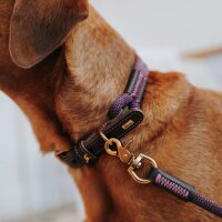Hunter Halsband Malia 55/M brombeer/dunkelbraun