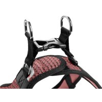Hunter Geschirr Hilo Comfort altrosa XS