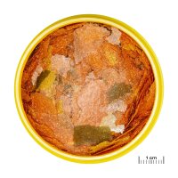 JBL ProNovo Tanganyika Flakes M 1000 ml
