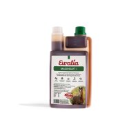 Ewalia Magensaft 1 für Pferde