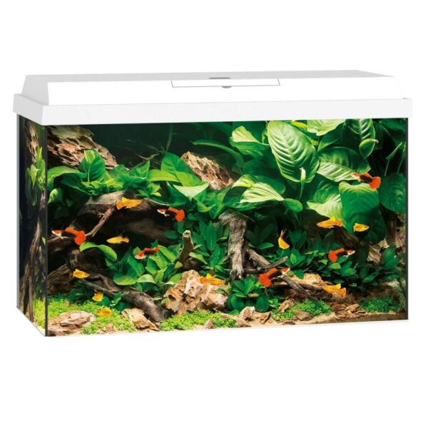 AquaPet AquaSet 60 x 30 x 30 cm weiß