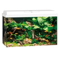 AquaPet AquaSet 60 x 30 x 30 cm weiß