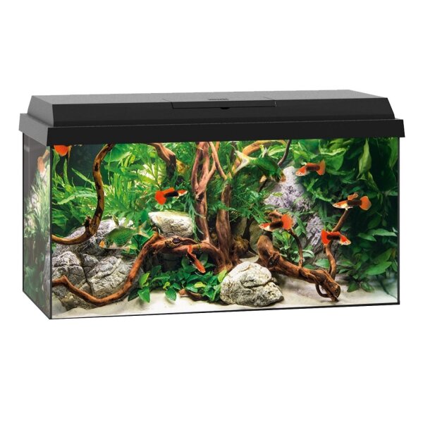 AquaPet AquaSet 60 x 30 x 30 cm schwarz