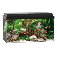 AquaPet AquaSet 60 x 30 x 30 cm schwarz