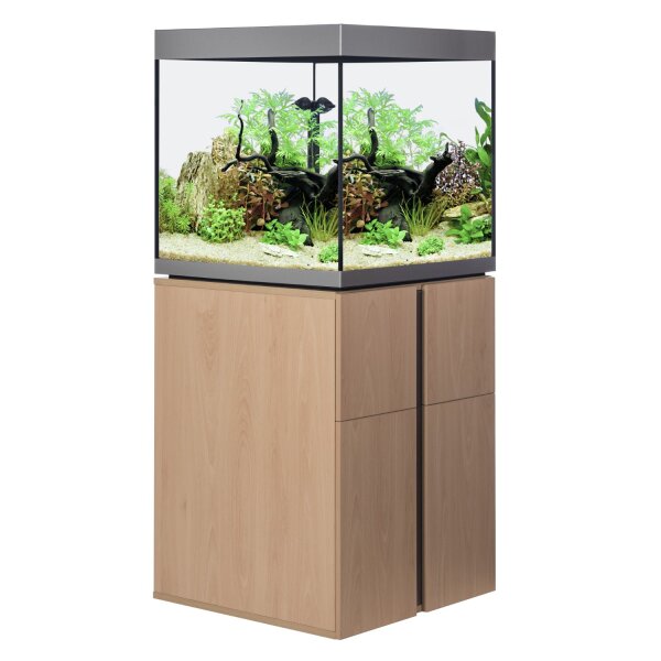 Fluval Siena 160 Aquarienkombination