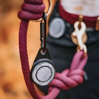 Orbiloc Reflective Carabiner