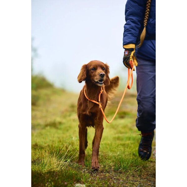 Non-stop Retriever Leine 1,6 m