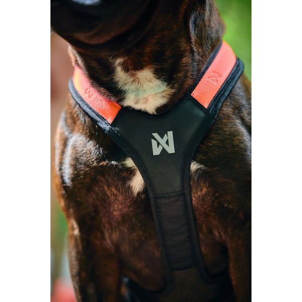 Non-stop Rush Harness