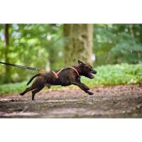 Non-stop Rush Harness